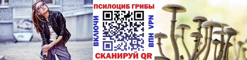 Галлюциногенные грибы GOLDEN TEACHER  Мураши 